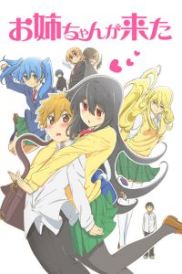  Сестра без приглашения (2014) 